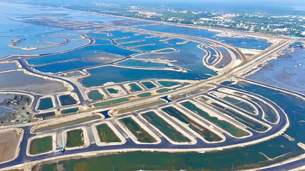 Tiến độ dự án Vinhomes Green Paradise tháng 12/2025