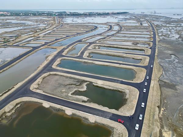 Tiến độ dự án Vinhomes Green Paradise tháng 12/2025