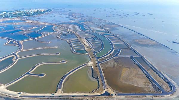 Tiến độ dự án Vinhomes Green Paradise tháng 12/2025