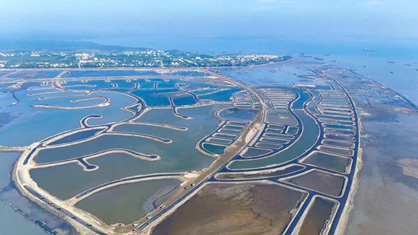 Tiến độ dự án Vinhomes Green Paradise tháng 12/2025