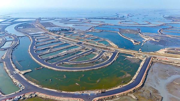 Tiến độ dự án Vinhomes Green Paradise tháng 12/2025