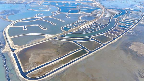 Tiến độ dự án Vinhomes Green Paradise tháng 12/2025