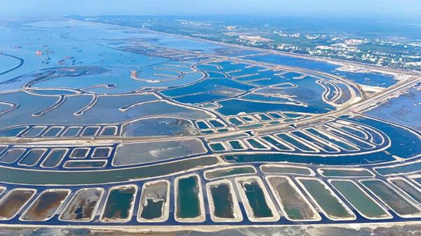 Tiến độ dự án Vinhomes Green Paradise tháng 12/2025