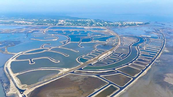 Tiến độ dự án Vinhomes Green Paradise tháng 12/2025