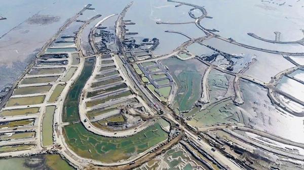 Tiến độ dự án Vinhomes Green Paradise tháng 11/2025