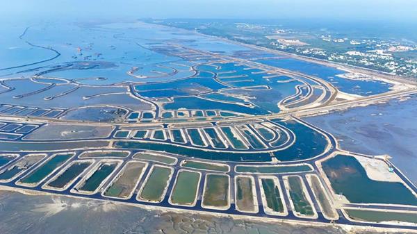 Tiến độ dự án Vinhomes Green Paradise tháng 12/2025