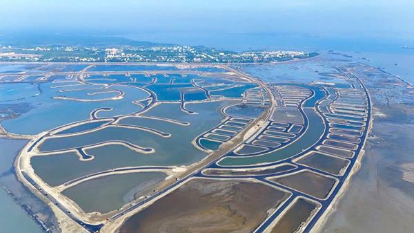 Tiến độ dự án Vinhomes Green Paradise tháng 12/2025