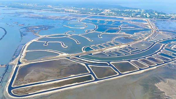 Tiến độ dự án Vinhomes Green Paradise tháng 12/2025