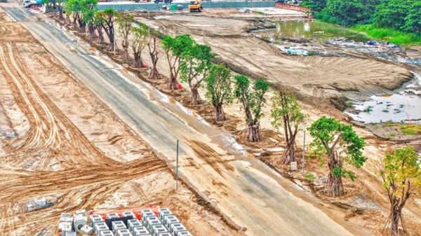 Tiến độ dự án Vinhomes Green Paradise tháng 11/2025